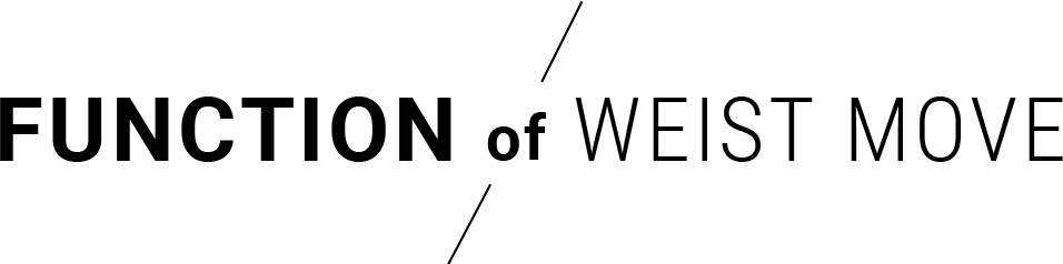 FUNCTION of LIGHT WAVE