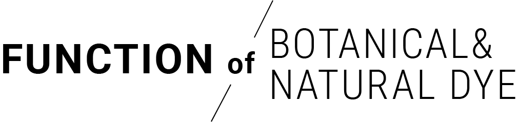 FUNCTION of LIGHT WAVE