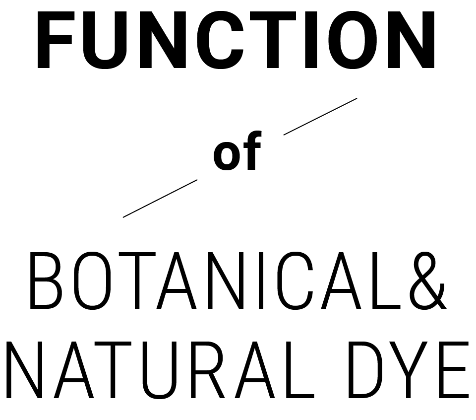 FUNCTION of LIGHT WAVE