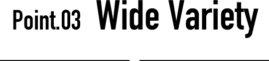 Point_3　Fastness