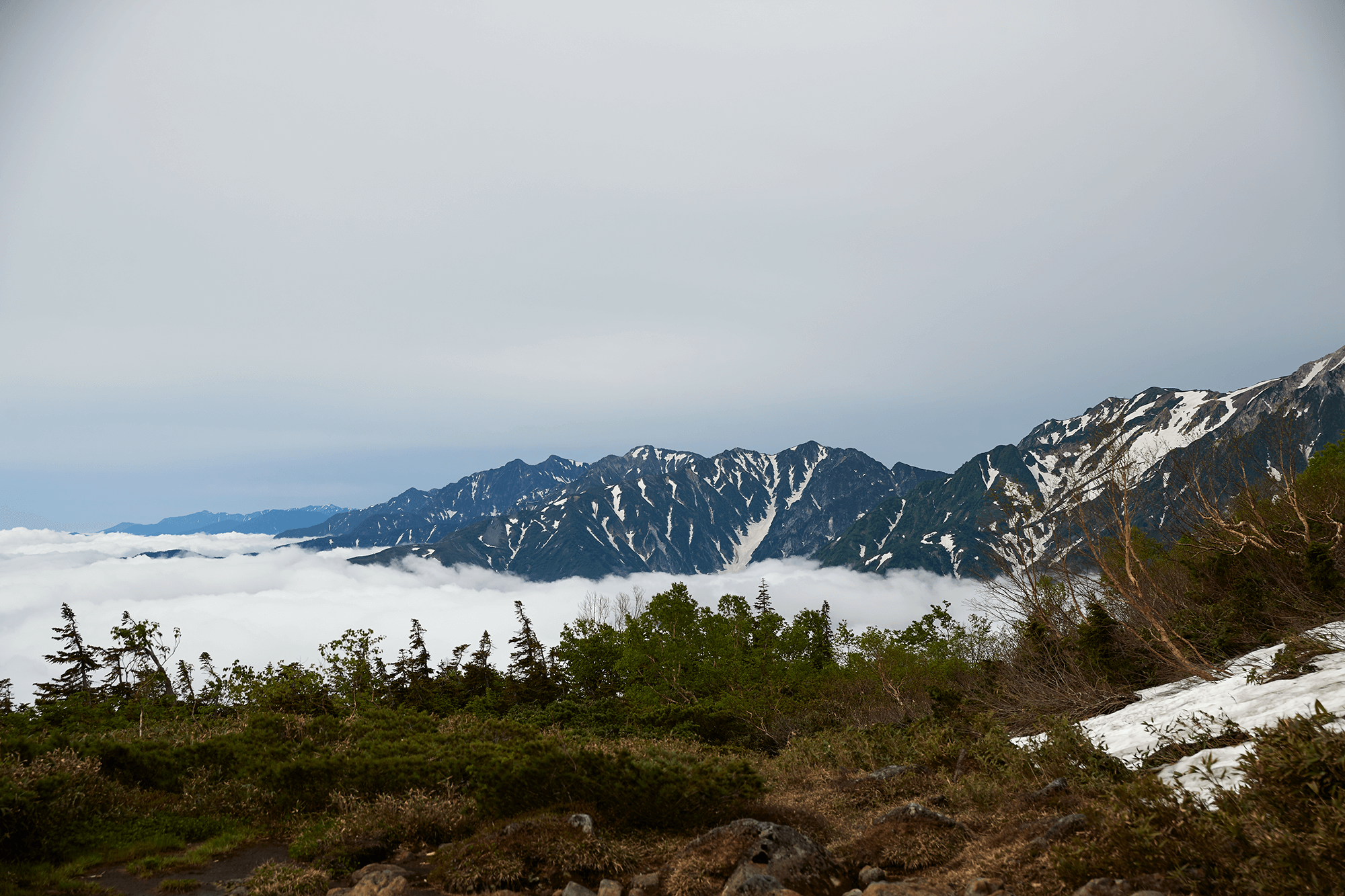 JOSEPH ABBOUD MOUNTAIN