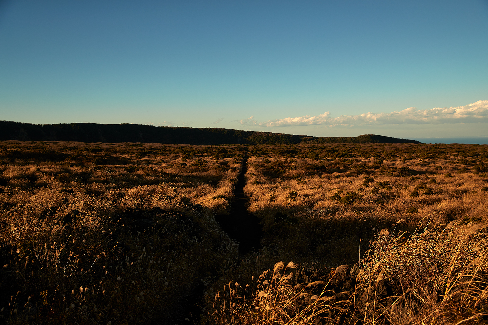 JOSEPH ABBOUD MOUNTAIN