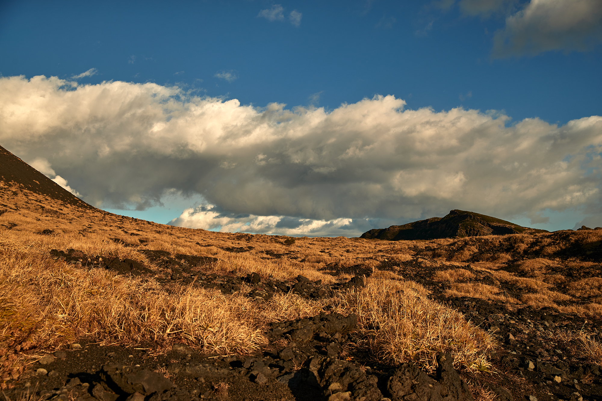 JOSEPH ABBOUD MOUNTAIN